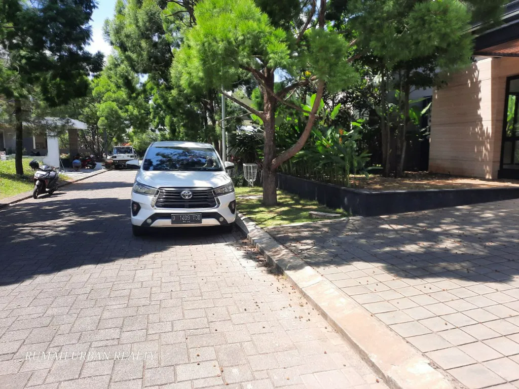 6158869539689974516 (1).webp