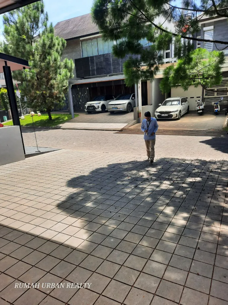 6158869539689974518 (1).webp